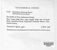 Image Associated With the Occurence